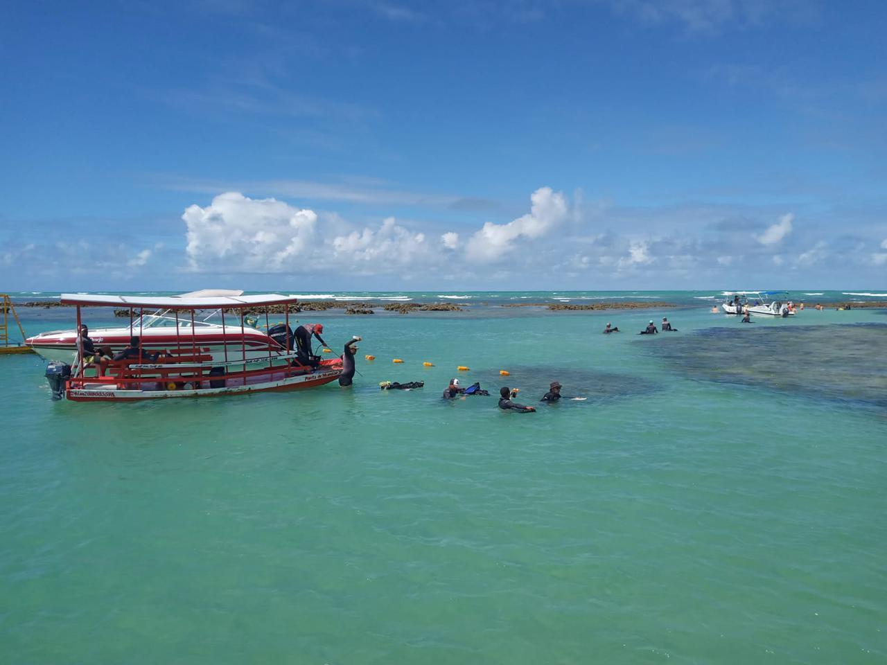 Pousada Ponta De Mangue Maragogi Kültér fotó