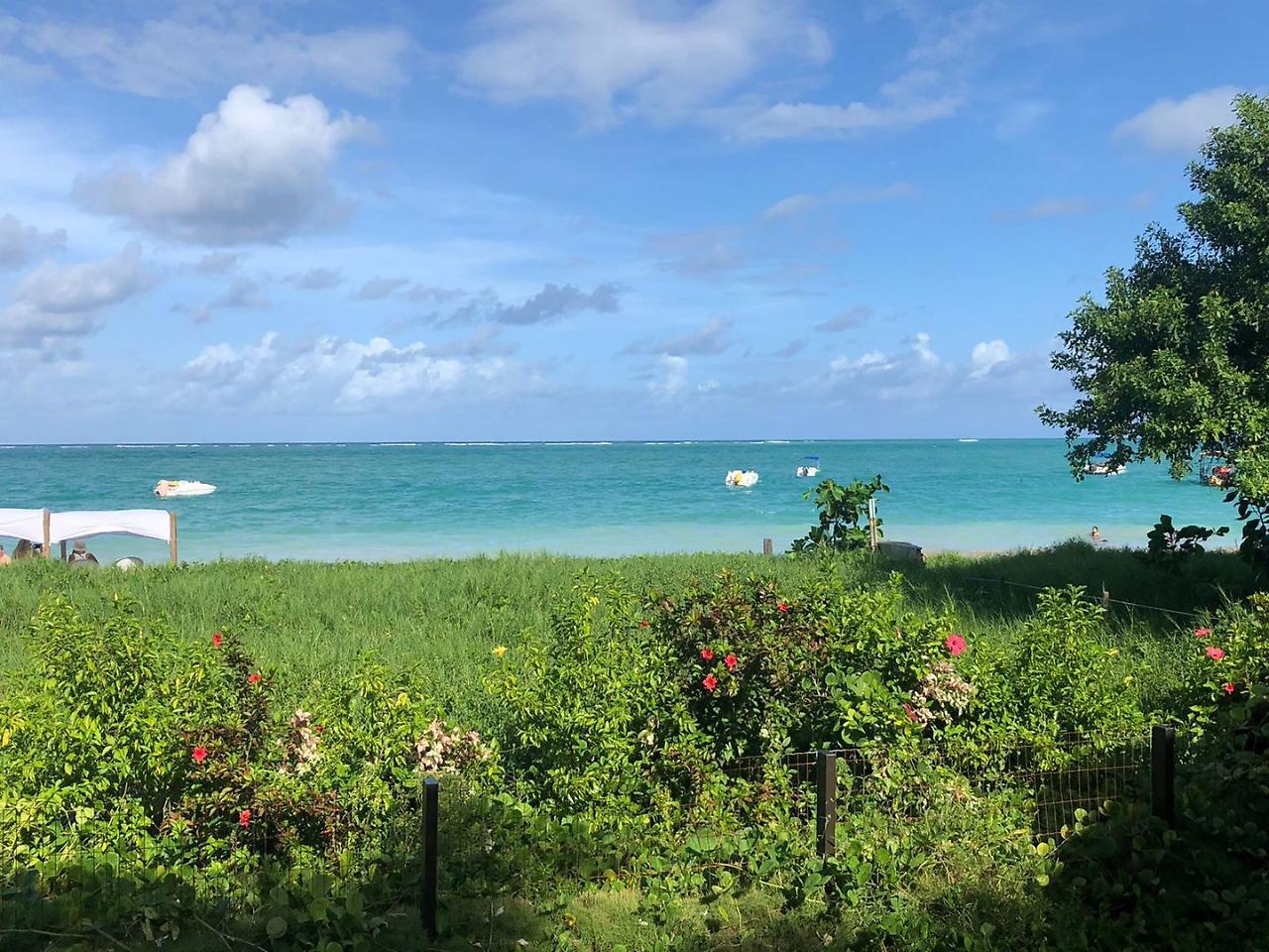 Pousada Ponta De Mangue Maragogi Kültér fotó