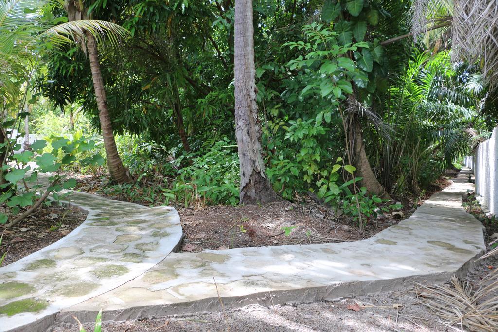 Pousada Ponta De Mangue Maragogi Kültér fotó