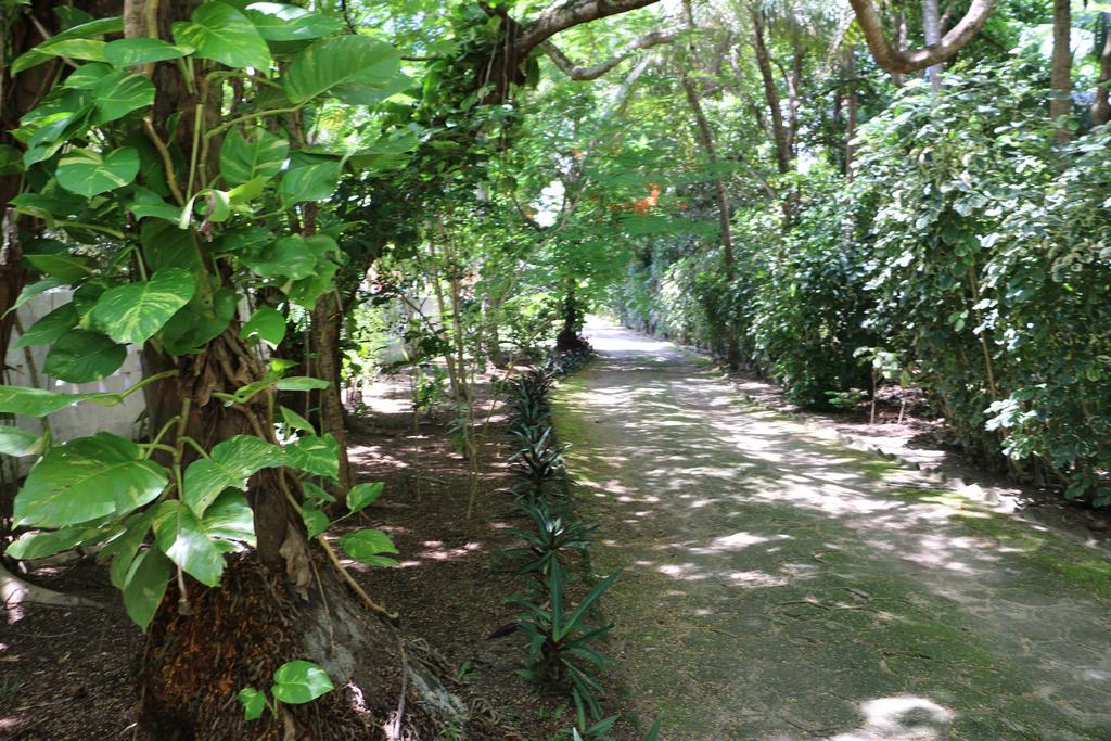 Pousada Ponta De Mangue Maragogi Kültér fotó