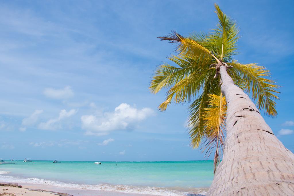 Pousada Ponta De Mangue Maragogi Kültér fotó